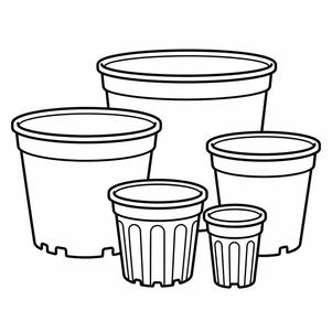 Approximate Container Sizes
