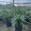 View Current Crop Photo
