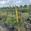 View Current Crop Photo