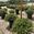 View Current Crop Photo
