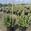 View Current Crop Photo