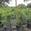 View Current Crop Photo