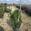 View Current Crop Photo