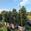 View Current Crop Photo
