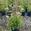 View Current Crop Photo