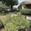 View Current Crop Photo
