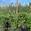 View Current Crop Photo