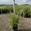 View Current Crop Photo