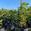 View Current Crop Photo