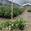 View Current Crop Photo