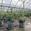 View Current Crop Photo