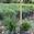 View Current Crop Photo