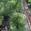 View Current Crop Photo