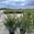 View Current Crop Photo