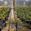 View Current Crop Photo