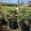 View Current Crop Photo