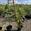 View Current Crop Photo