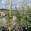 View Current Crop Photo