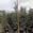 View Current Crop Photo