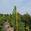 View Current Crop Photo