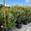 View Current Crop Photo
