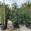 View Current Crop Photo