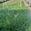 View Current Crop Photo