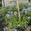 View Current Crop Photo