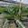 View Current Crop Photo