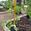 View Current Crop Photo
