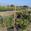 View Current Crop Photo