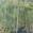 View Current Crop Photo