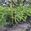 View Current Crop Photo