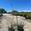 View Current Crop Photo