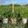 View Current Crop Photo