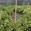 View Current Crop Photo