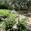 View Current Crop Photo