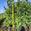 View Current Crop Photo