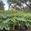 View Current Crop Photo