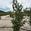 View Current Crop Photo