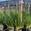 View Current Crop Photo