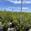 View Current Crop Photo