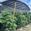 View Current Crop Photo