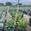 View Current Crop Photo