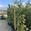 View Current Crop Photo