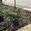 View Current Crop Photo