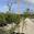 View Current Crop Photo