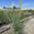 View Current Crop Photo