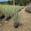 View Current Crop Photo