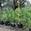 View Current Crop Photo